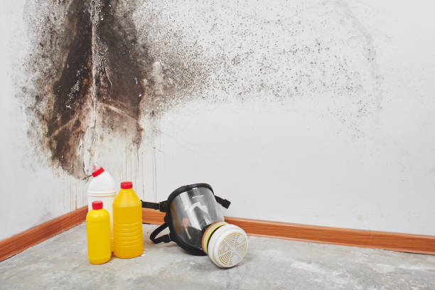 Best Certified Mold Removal  in Sawyerwood, OH