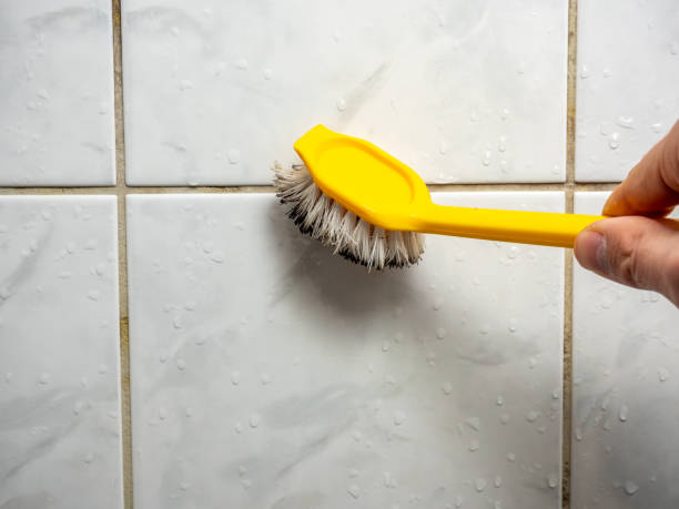 Best Certified Mold Removal  in Sawyerwood, OH