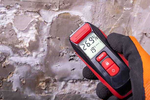 Best Commercial Mold Removal  in Sawyerwood, OH