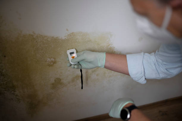 Best Office Mold Removal Services  in Sawyerwood, OH