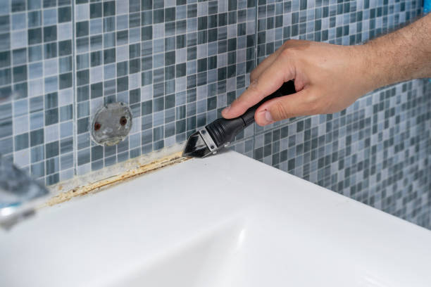 Best Mold Damage Repair  in Sawyerwood, OH