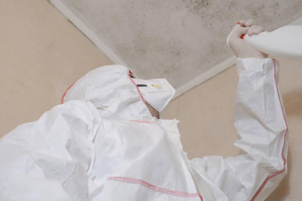 Best Professional Mold Removal  in Sawyerwood, OH